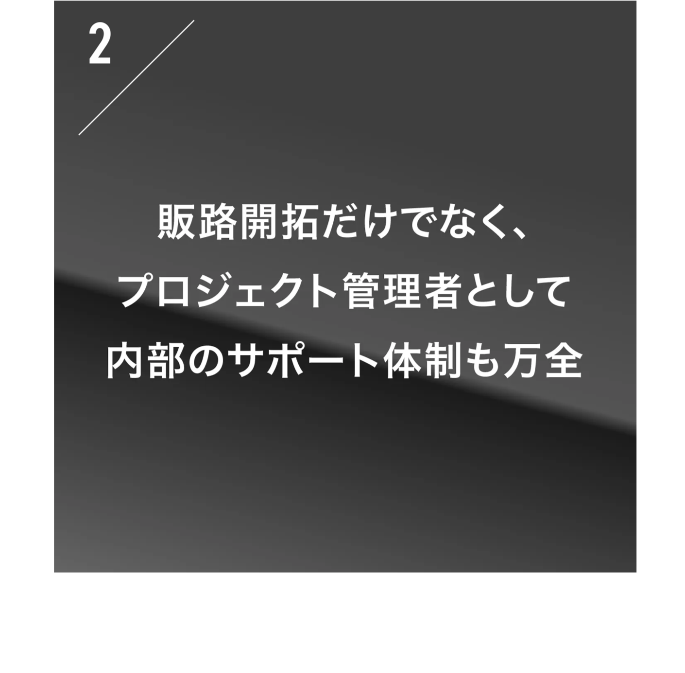 2_20241219145202978.png